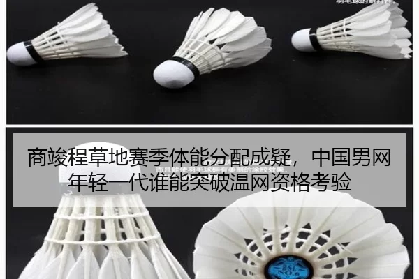 shang-jun-cheng-cao-di-sai-ji-ti-neng-fen-pei-cheng-yi-zhong-guo-nan-wang-nian-qing-yi-dai-shui-neng-tu-po-wen-wang-zi-2-224.jpg